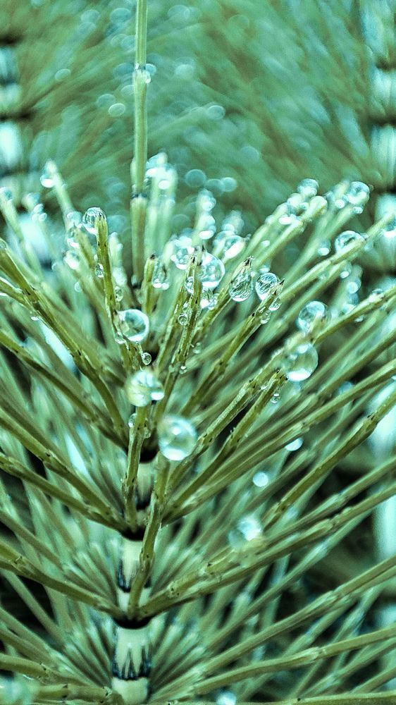 Photograph by Anna D.