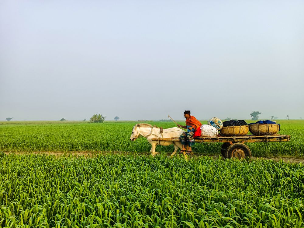 Photograph by Dipto Hasan