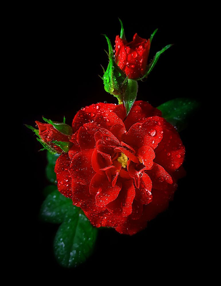 Photograph by Mohammad Dadsetan