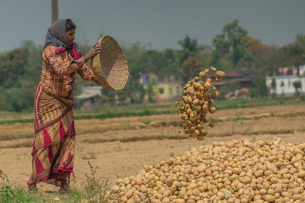 Photograph by Anirban Pan