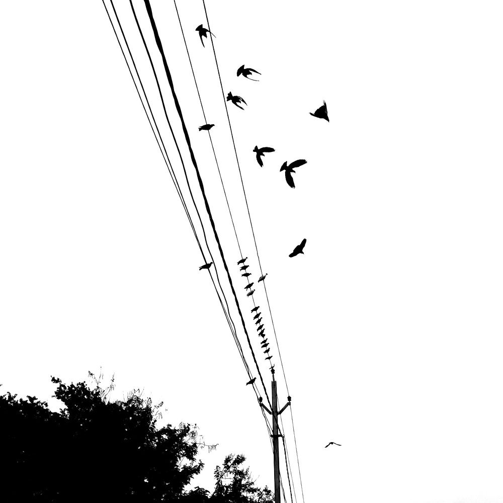 Photograph by Abhilash Biswal