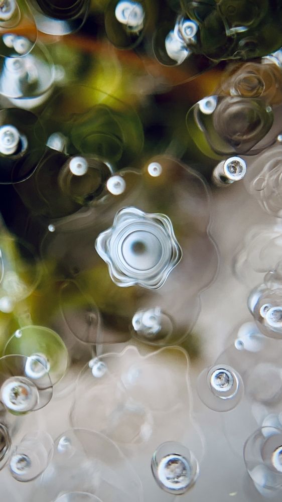 Photograph by Inna Etuvgi