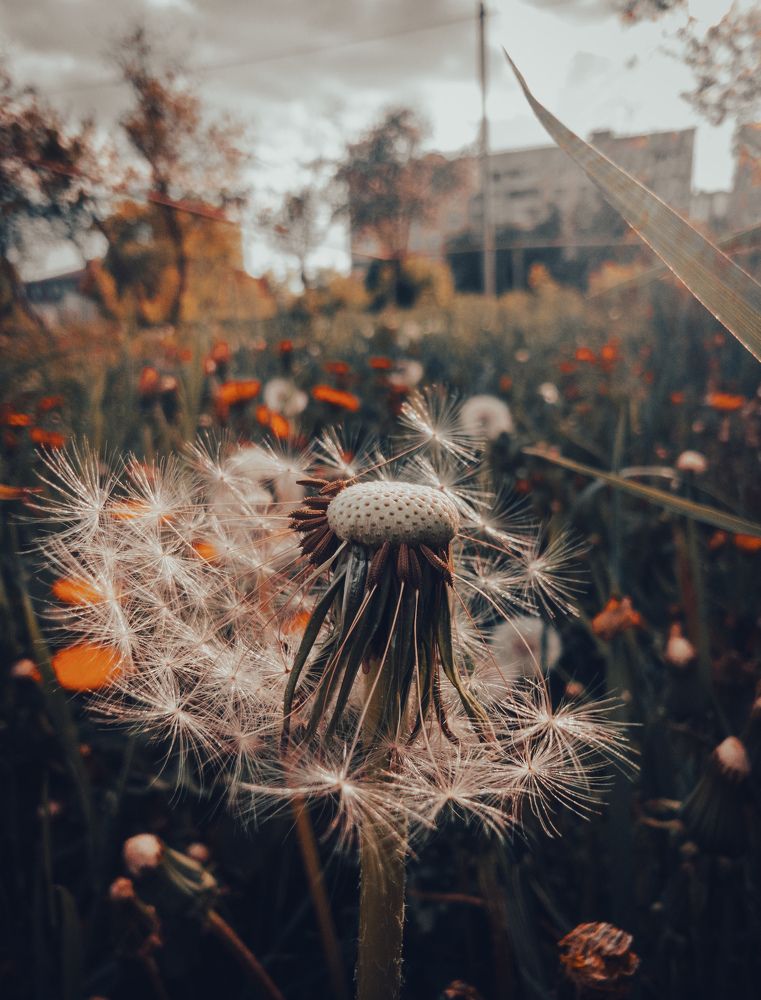 Фотография автора Геннадий Ломеко