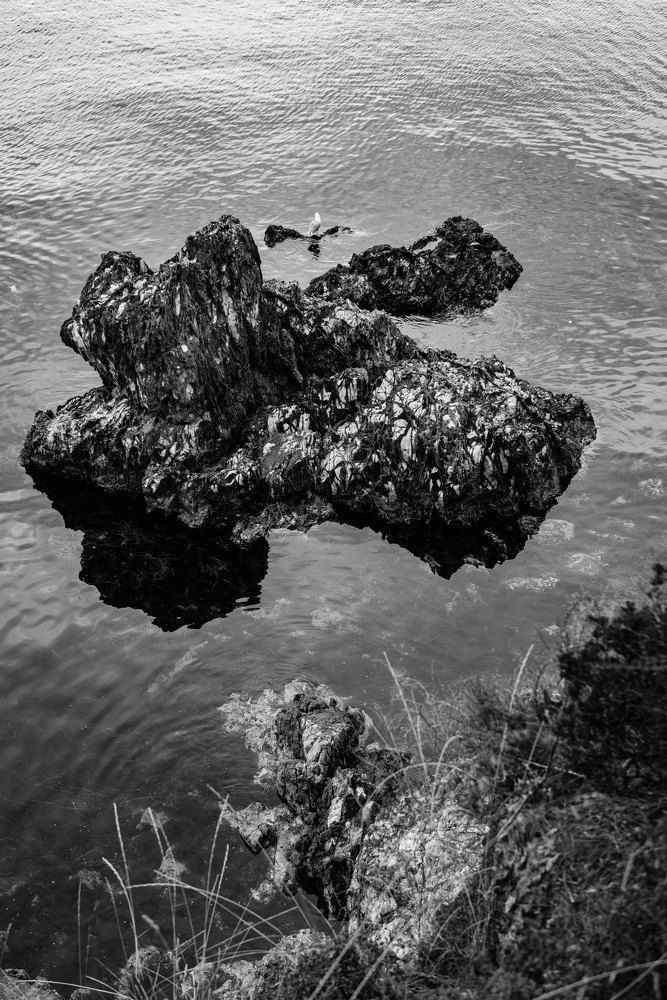 Фотография автора Анна Абрамова