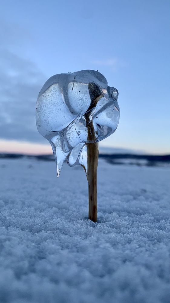 Photograph by Inna Etuvgi