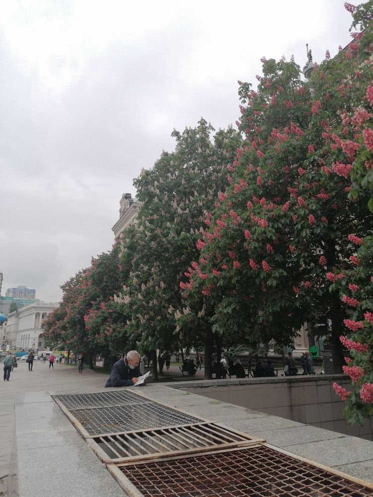 Photograph by katanialina