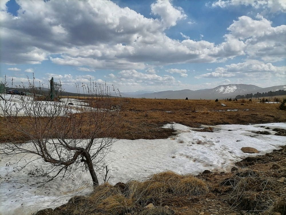 Photograph by Наталья Веряскина