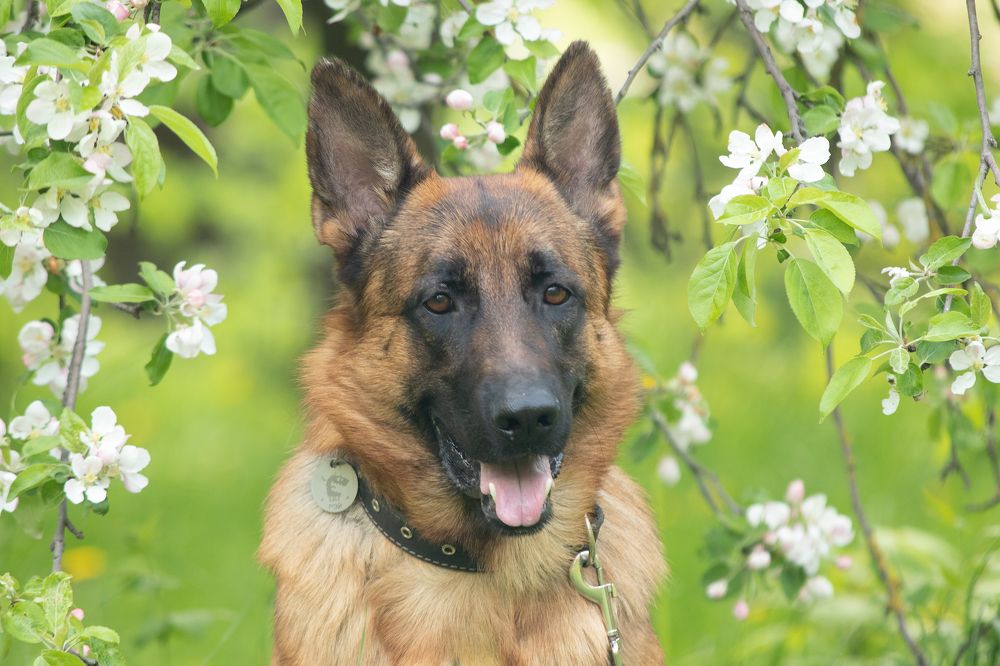 Photograph by Любовь Головина