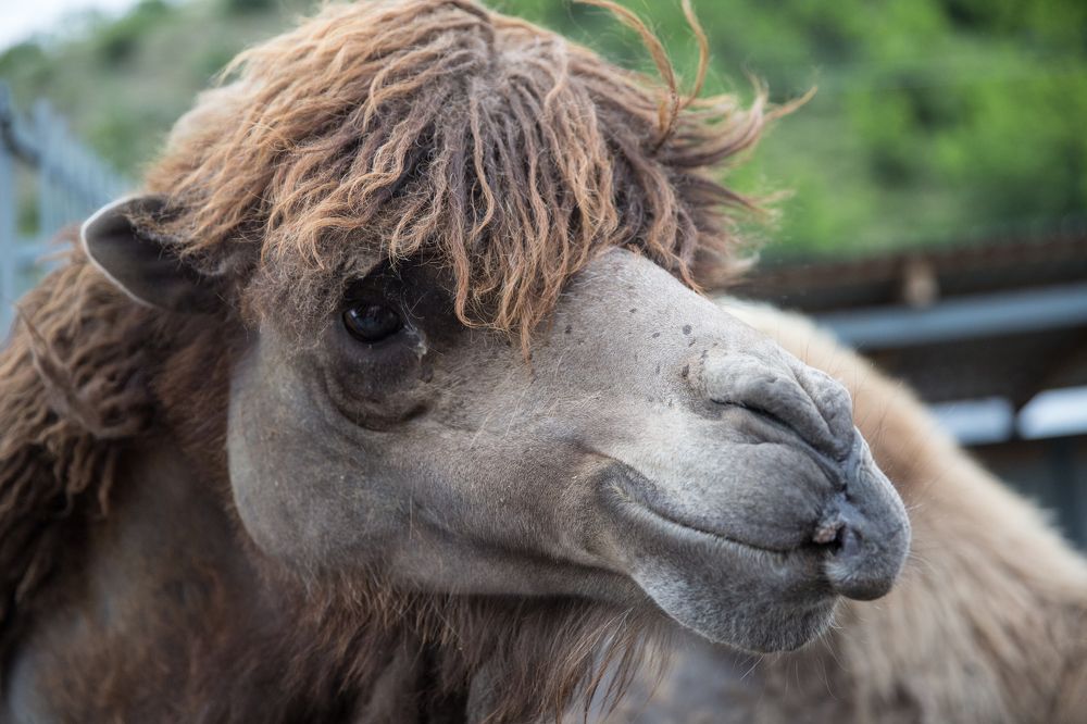 Photograph by Фирдаус Карипова