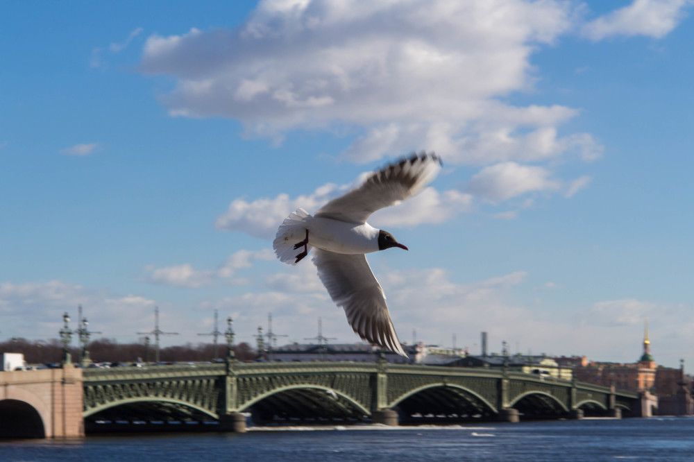 Photograph by Евгения Журавлёва