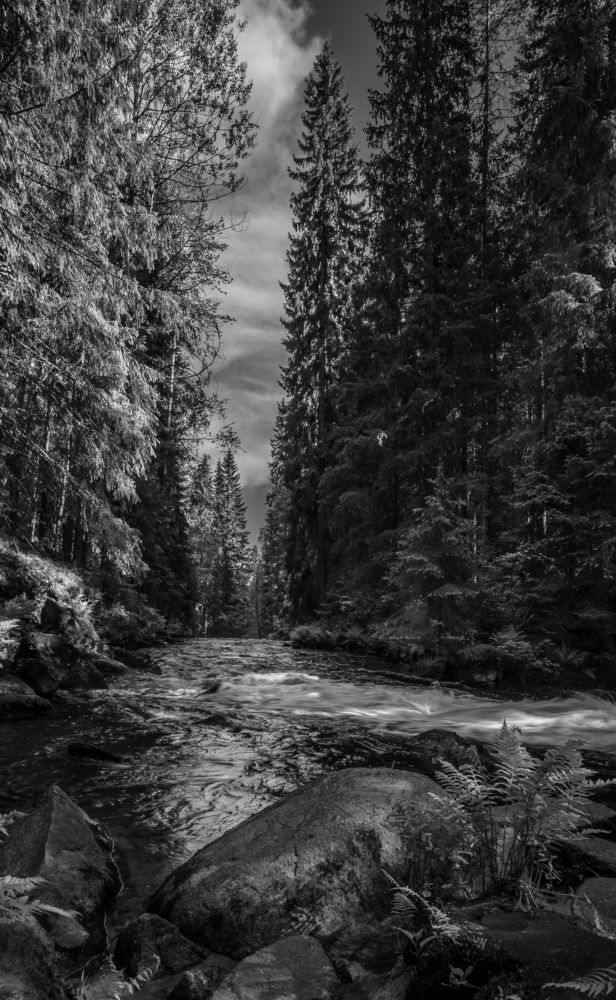 Фотография автора Андрей Васильев