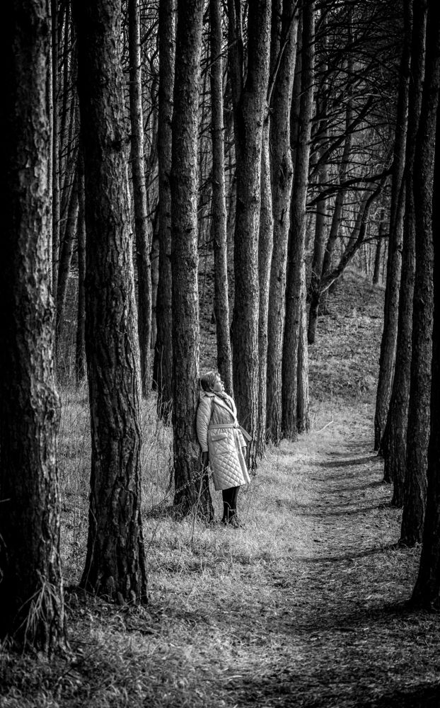 Фотография автора Андрей Васильев