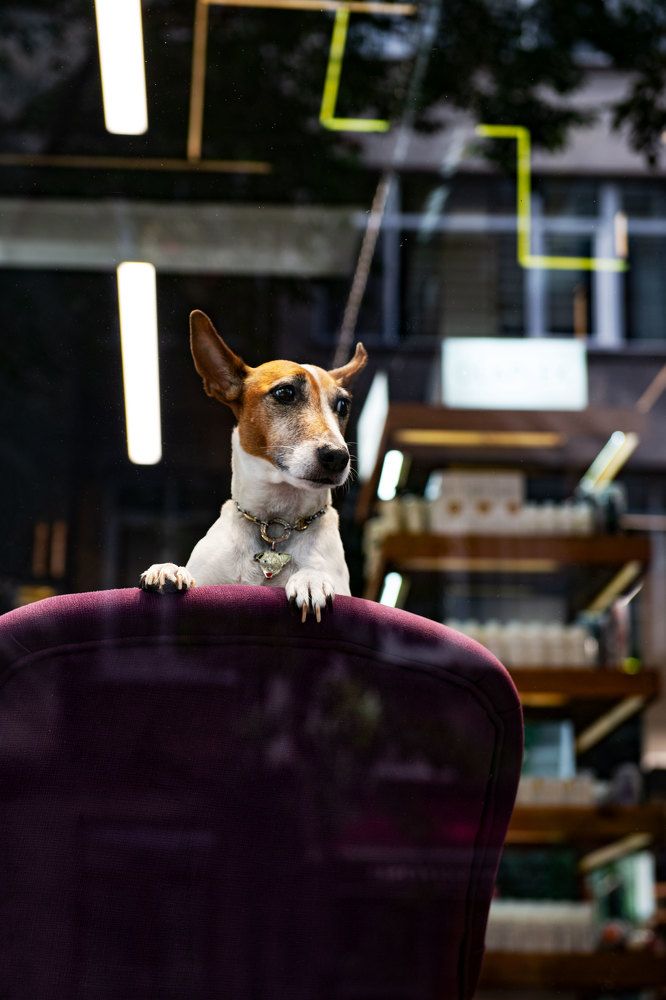 Фотография автора Анна Абрамова