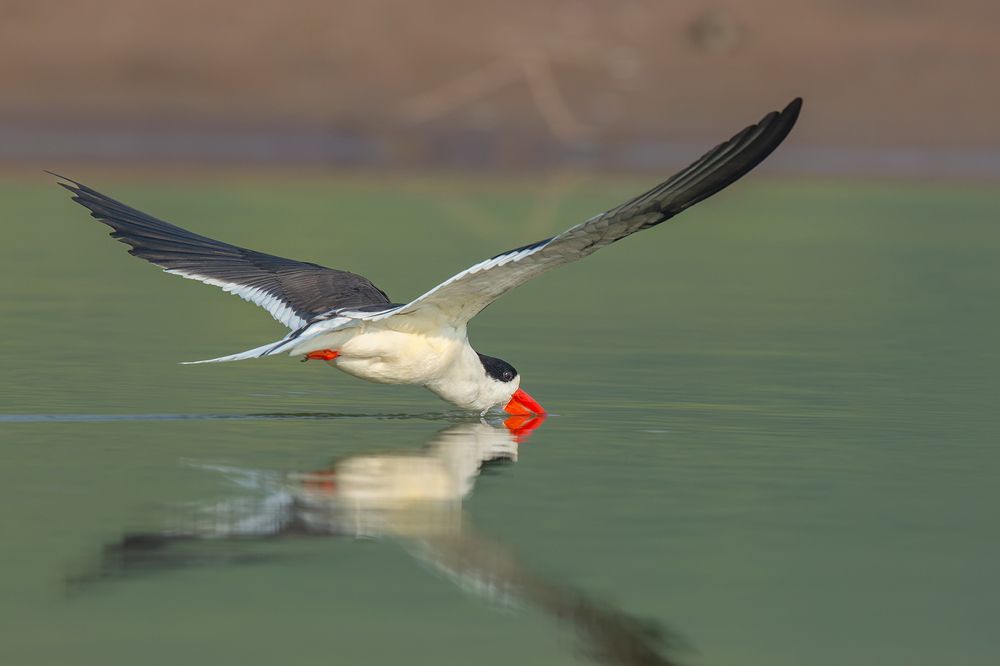 Photograph by Vinod C L