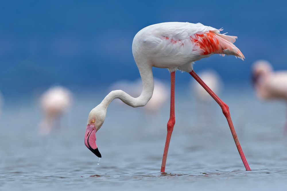 Photograph by Vinod C L