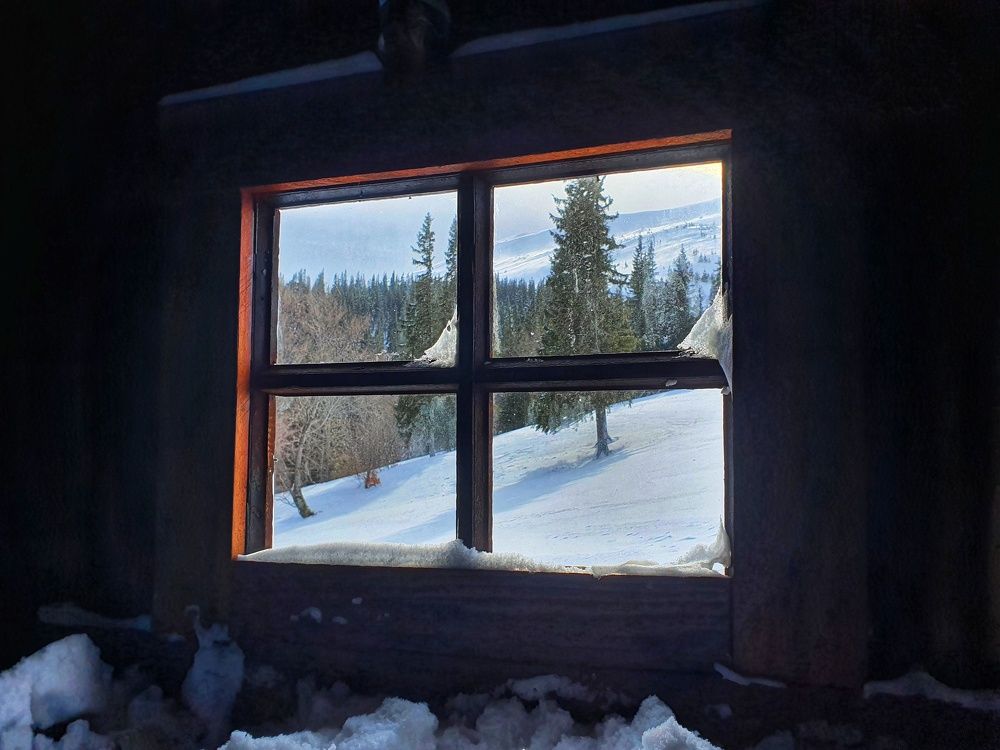 Photograph by Александра Бондарук