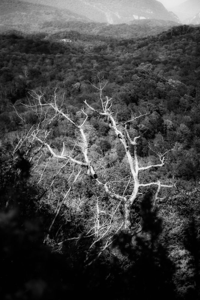 Photograph by Татьяна Абрамова