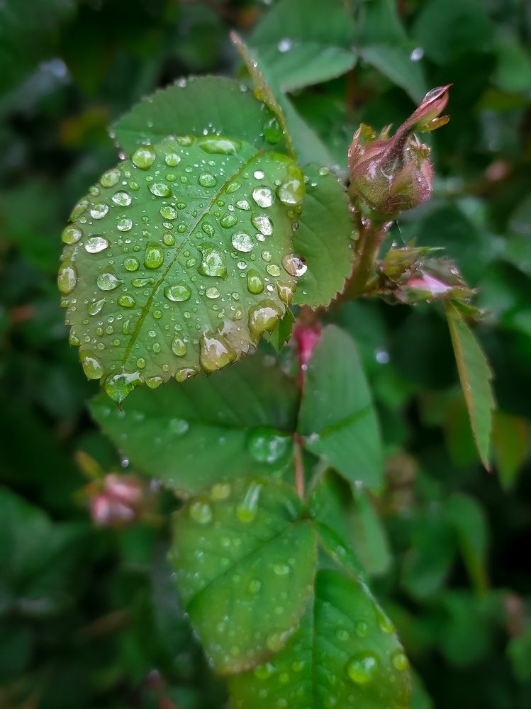 Photograph by Александр Панин