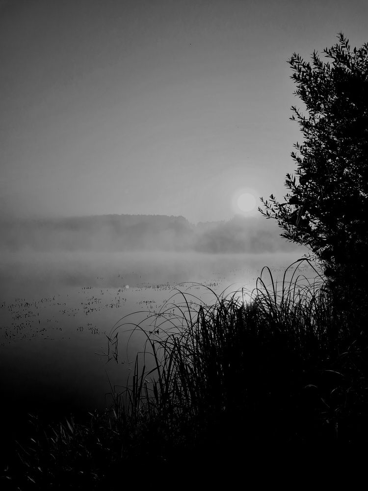 Photograph by Мария Шамина