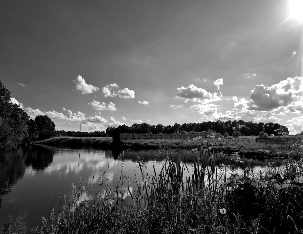 Photograph by Мария Шамина