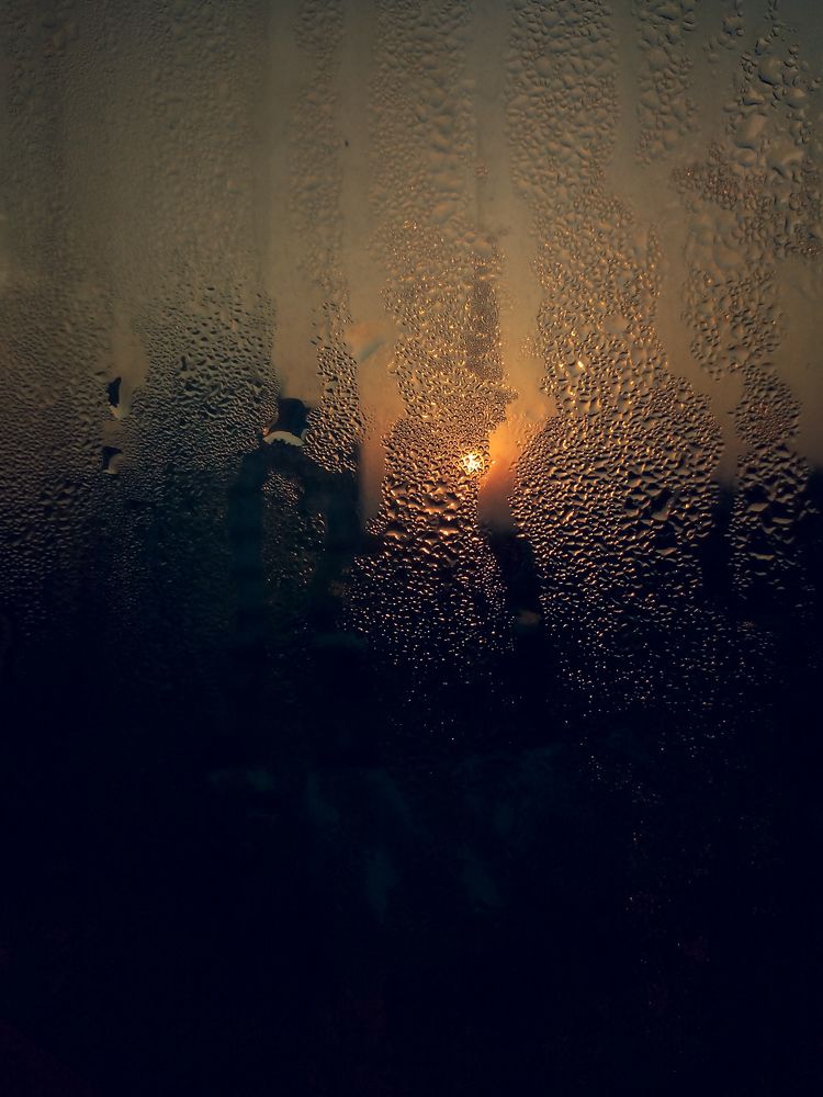 Life in a Light