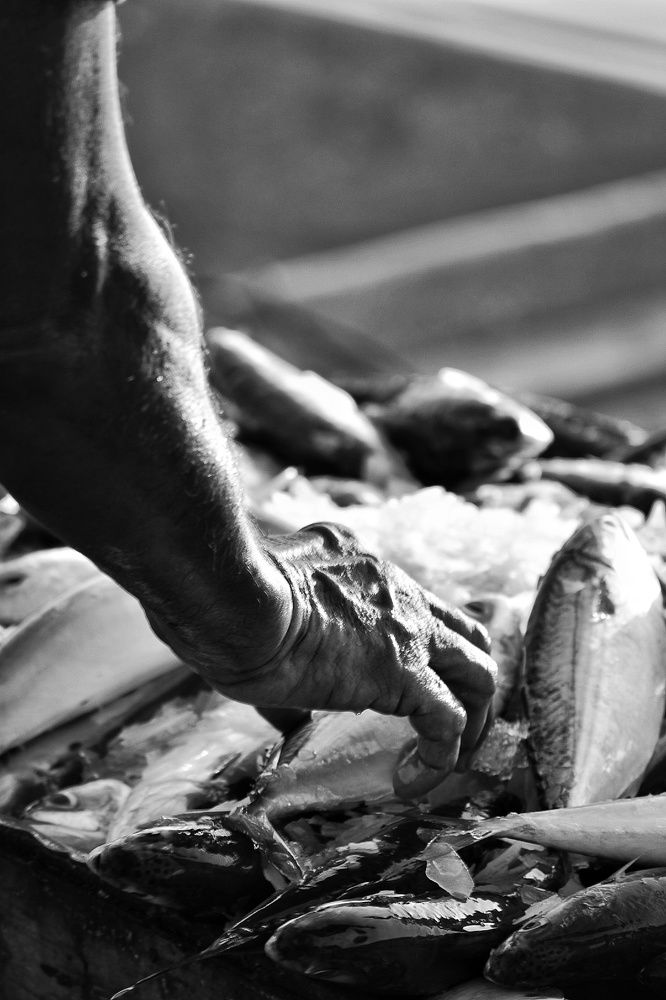 Photograph by Soneel Choraria