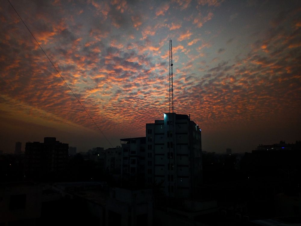 Photo #7617503
