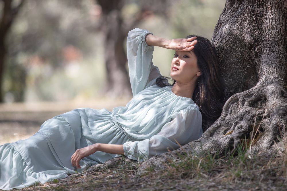 Morning in the olive garden...