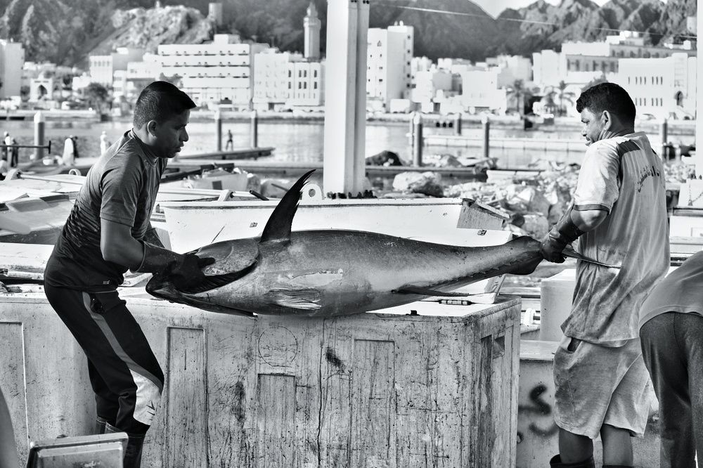 Photograph by Soneel Choraria