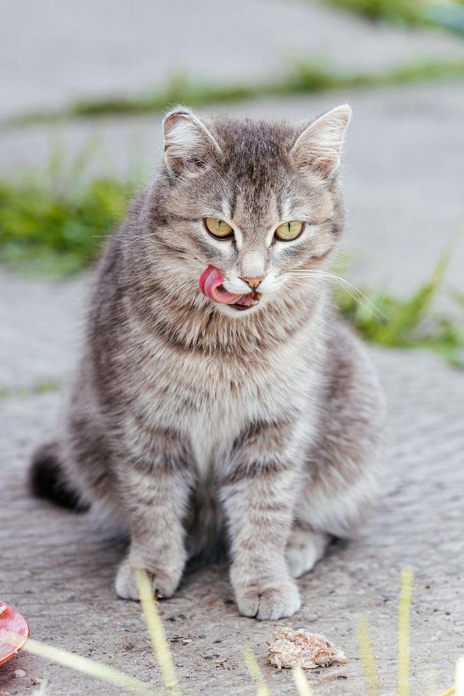 Photograph by Оксана Корчагина