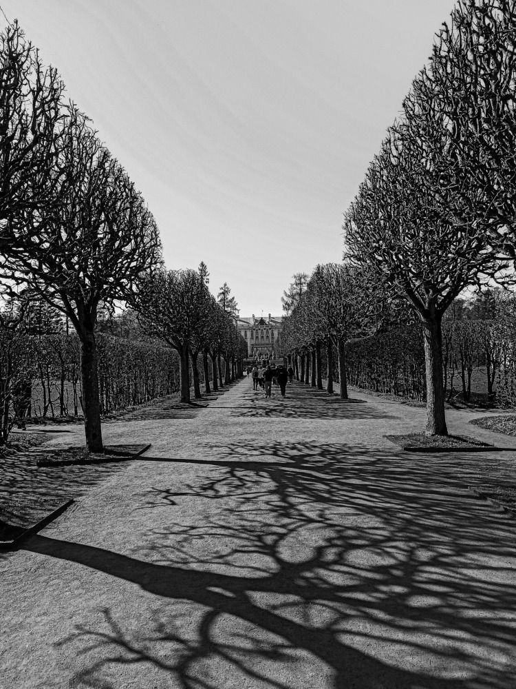 Photograph by Олег Башкуров