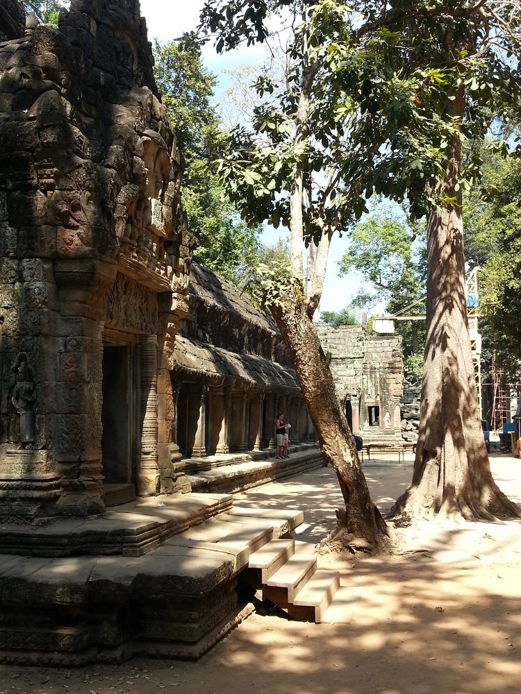 Photograph by Марина Пчелинцева