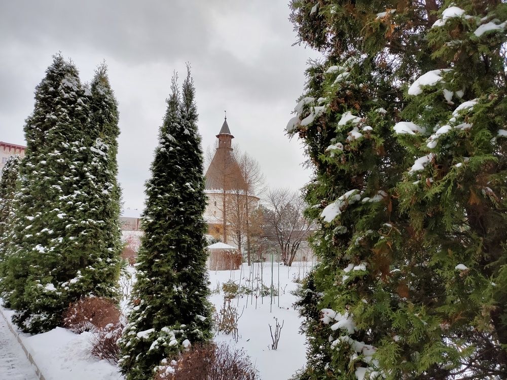 Photograph by Максим Куимов