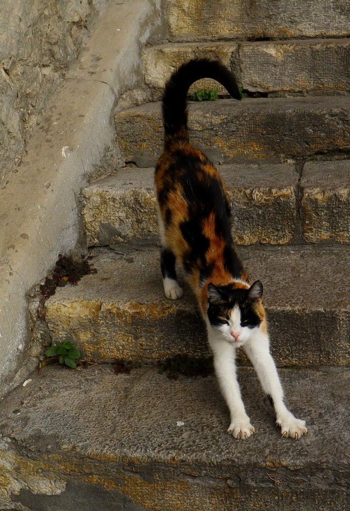 Photograph by Владимир Сафронов