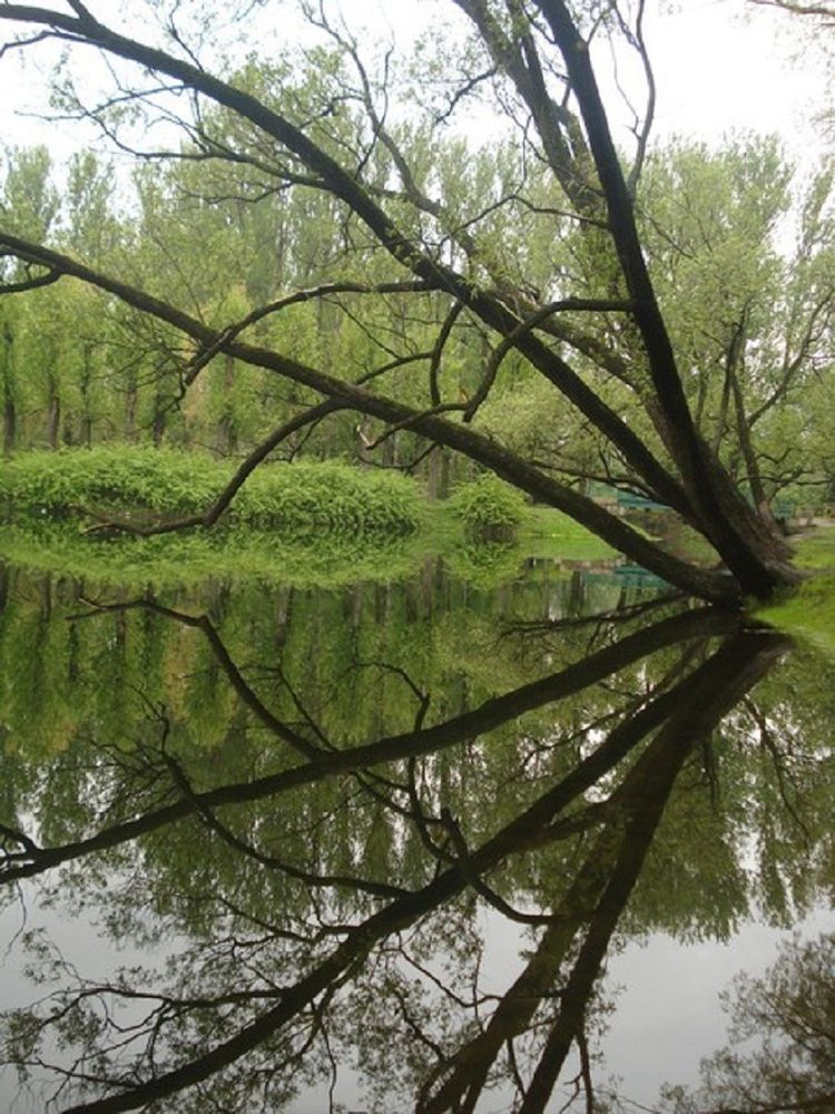 Photograph by Николай Герасимов