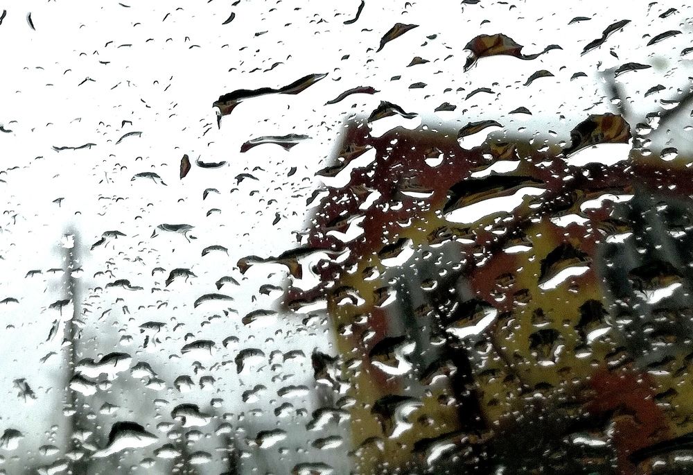 Photograph by Krystyna