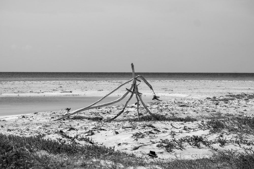 Photograph by Михаил Серебренников