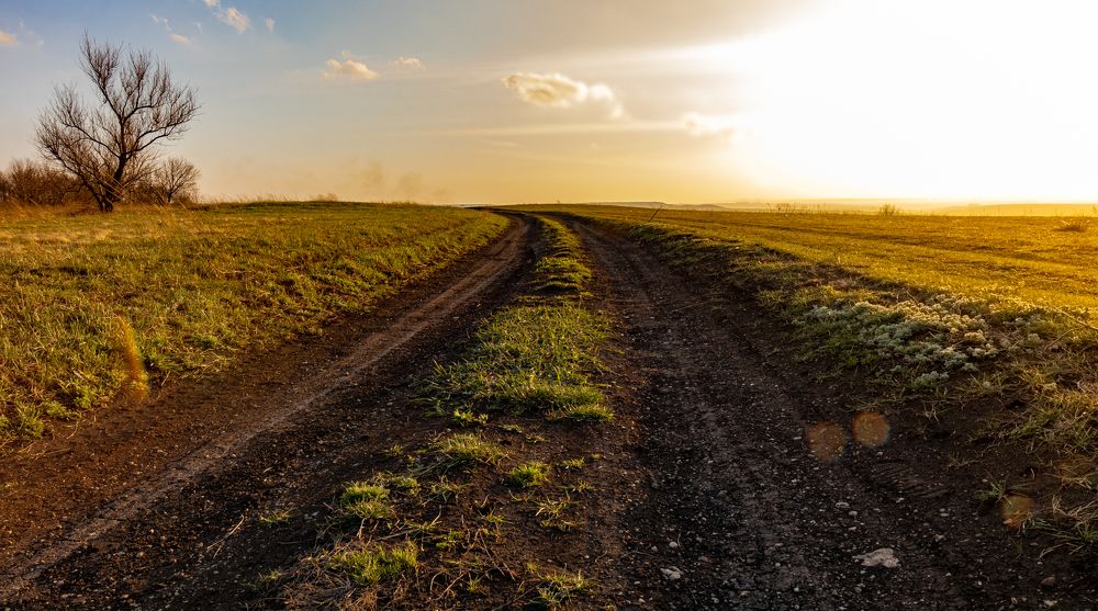 Photograph by Евгений Еськов