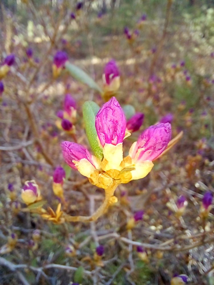 Photograph by Татьяна Собенникова