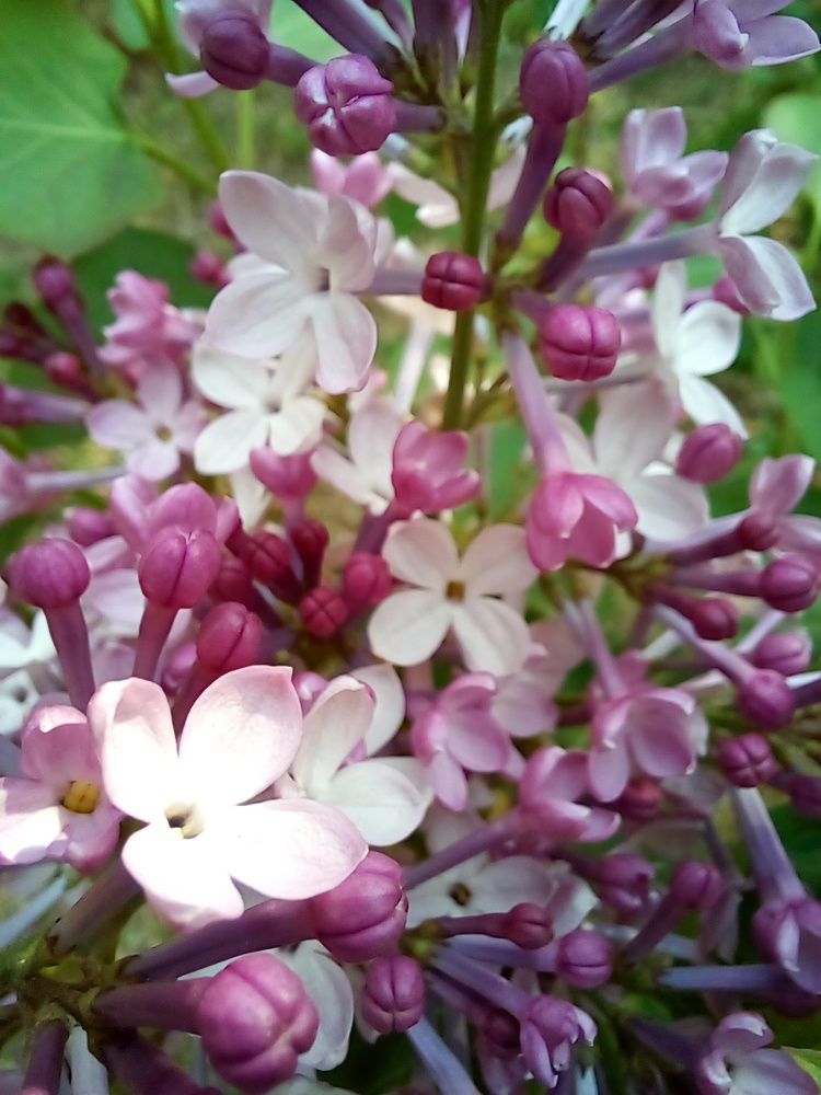 Photograph by Татьяна Собенникова