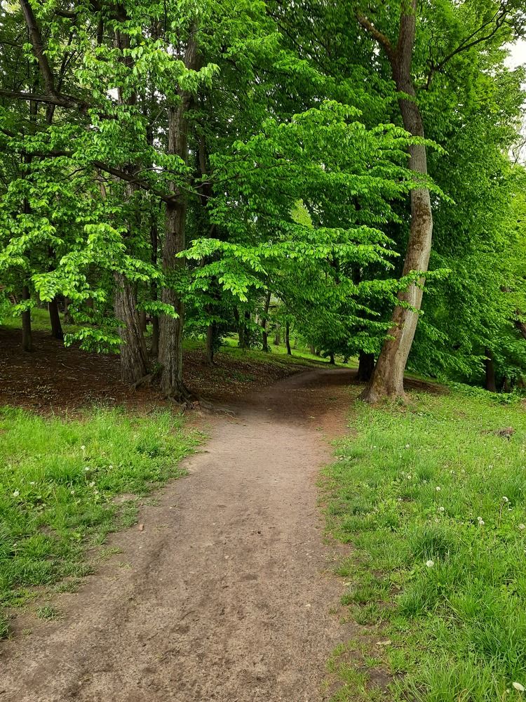 Photograph by Наталья Ткаченко