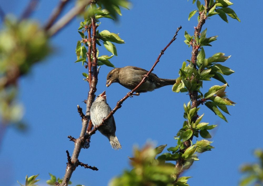 Фотография автора Настя