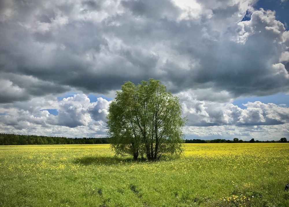 Photograph by Михаил Некрасов