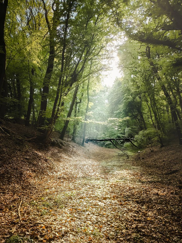 Photograph by Татьяна Сытова