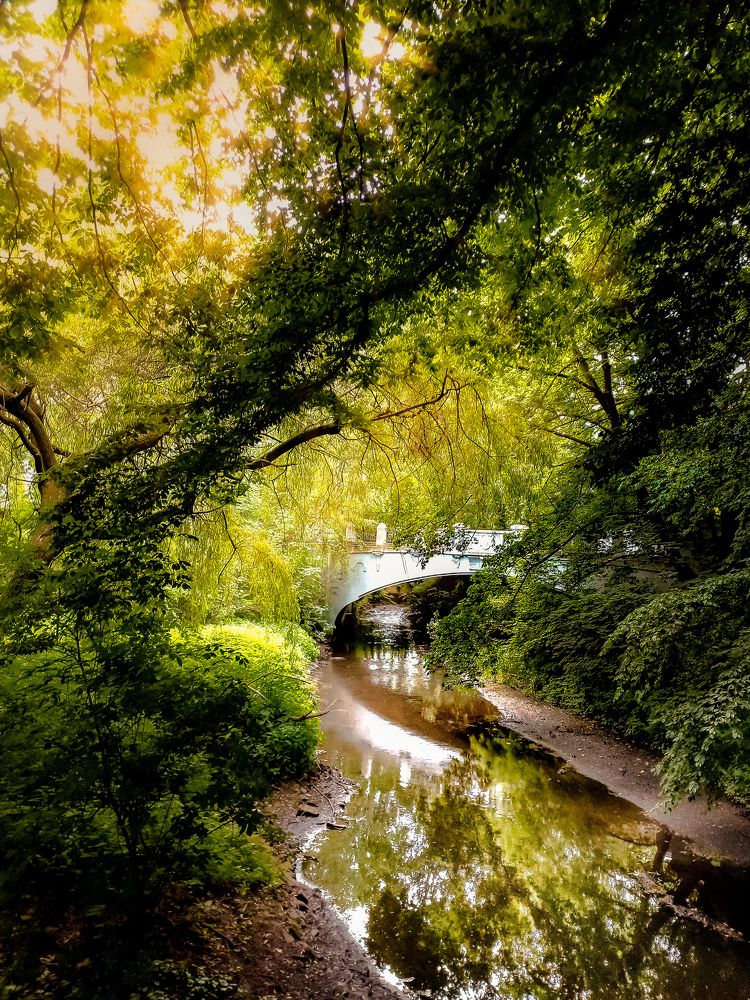 Photograph by Татьяна Сытова