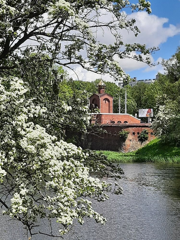 Photograph by Наталья Ткаченко