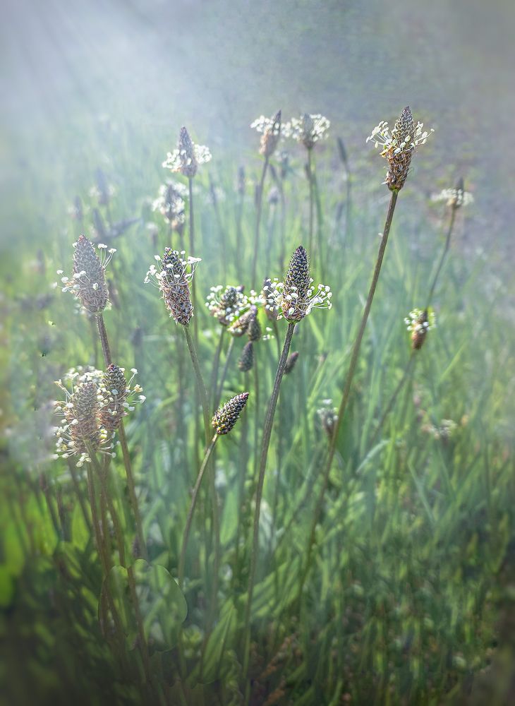 Photograph by Татьяна Сытова