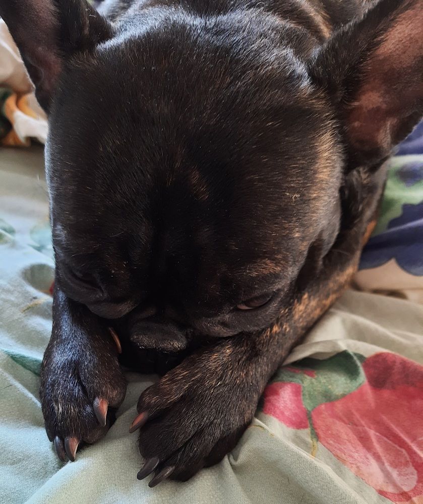 Photograph by Наталья Ткаченко