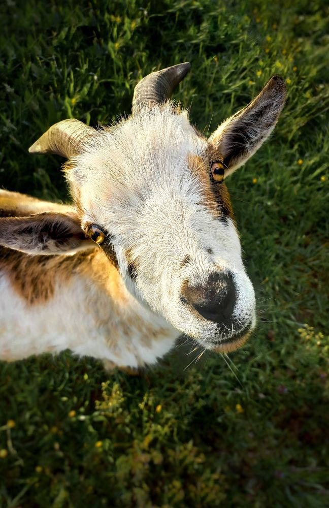 Photograph by Татьяна Сытова