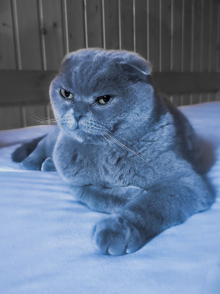 Photograph by Татьяна Сытова